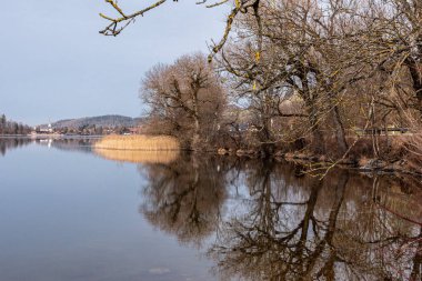 Almanya 'nın Bavyera kentindeki Schliersee Gölü' ndeki bitki örtüsünün manzarası.