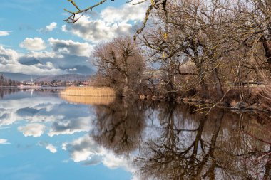 Almanya 'nın Bavyera kentindeki Schliersee Gölü' ndeki bitki örtüsünün manzarası.