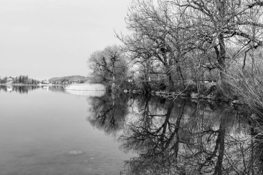 Almanya 'nın Bavyera kentindeki Schliersee Gölü' ndeki bitki örtüsünün manzarası.