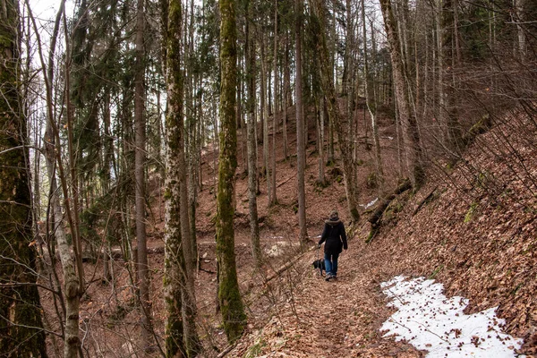 Uma Mulher Caminhando Com Seu Cachorro Através Uma Floresta Nas — Fotografia de Stock