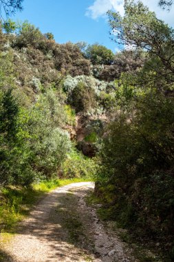 Ünlü Doğa Yolu Mergoli Vignanotica, Gargano Yarımadası 'nda yürüyüş