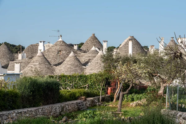 Scenic Historic Trulli Dwellings Alberobello Southern Italy — Stockfoto