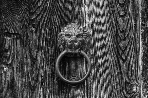 Old Fashioned Door Knocker Shape Lion Head Somewhere Door Downtown — Photo