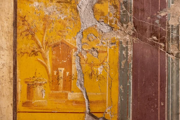 Oplontis Italy May 2022 Scenic Frescos Wall Famous Villa Oplontis — ストック写真