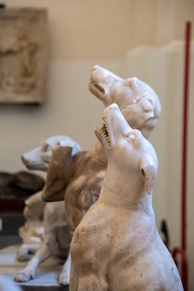 Naples Italy May 2022 Sculptures Ancient Roman Dogs Sitting Looking — Zdjęcie stockowe