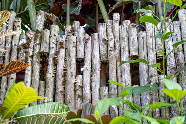 El yapımı, eski, ahşap çit, tropik bitkiler ve Endonezya 'da bulanık arka plan.