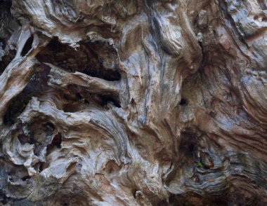 Çarpık tahta dokusunu kapat