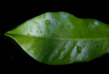 Yukarıdan, Endonezya 'nın eski yolundaki siyah asfalta boyanmış sarı çizgi görüntüsü