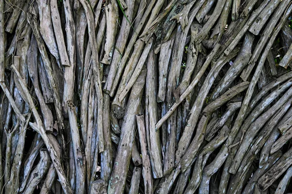 Verouderde Driftwood Stukken Verticale Posities Creëren Een Muur Bali Indonesië — Stockfoto
