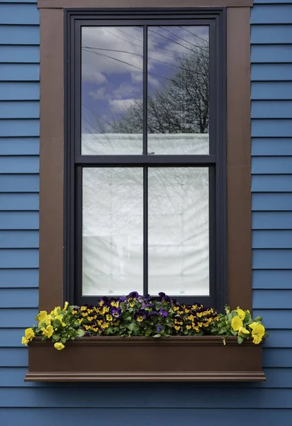 Mavi bir evde kahverengi çerçeveli bir pencere ve yaz çiçekleriyle dolu bir pencere.