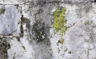 Bali, Endonezya 'da yeşil yosun ve çatlaklarla dolu eski gri beton duvar