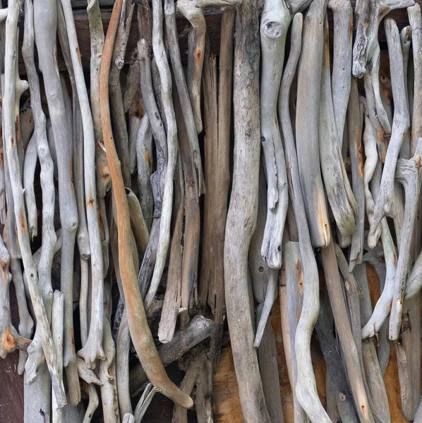 Lisci Bastoncini Legno Driftwood Appesi Verticalmente — Foto Stock