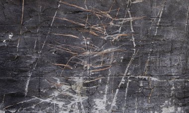 Kurumuş dalları ve dalları olan eski, siyah ve eskimiş beton bir duvar.