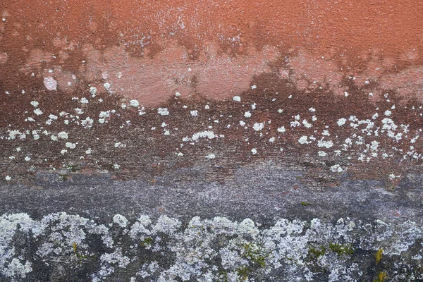 Concrete Wall Bali Indonesia Mildew Spores Moss Background Texture — Stock Photo, Image