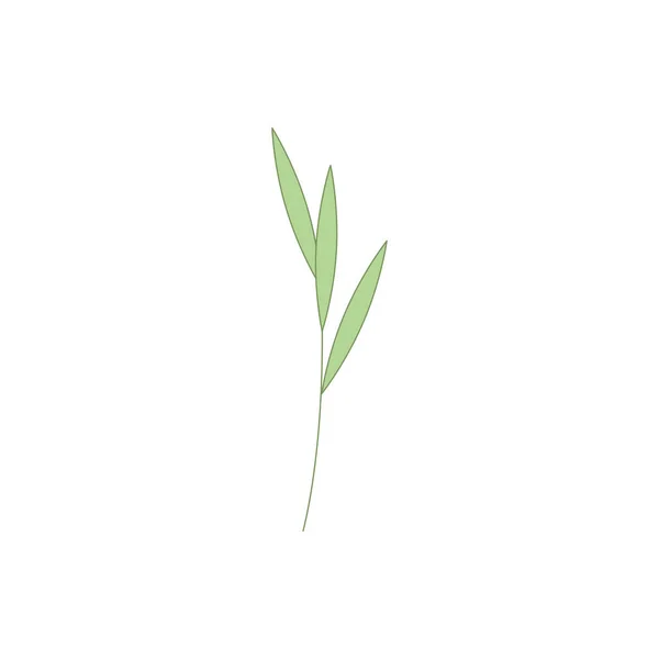 Ramita Verde Con Hojas Elemento Para Diseño Logotipo Banner Vector — Vector de stock