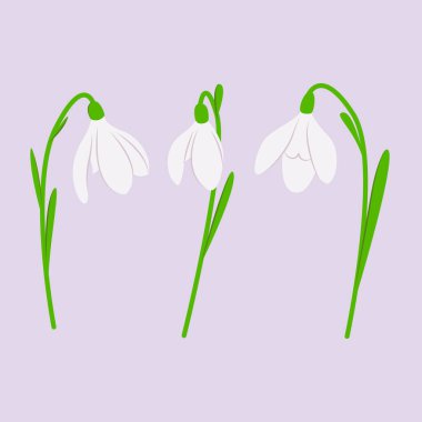 Bahar çiçeği kroketleri. Vektör tasarım ögeleri