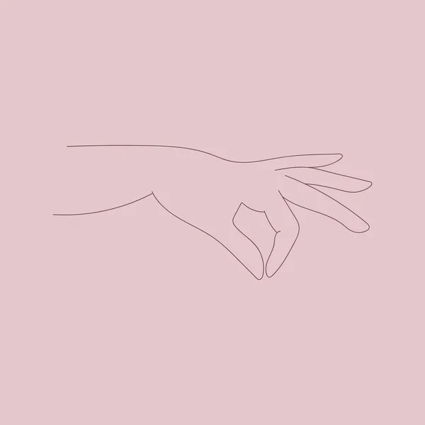 Kadın ellerinden zarif jestler, iki parmak tutuşu, vektör çizgisi sanatı, tasarım elementi, logo.