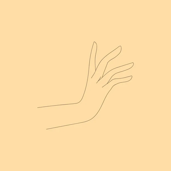 Anmutige Gesten Weiblicher Hände Vektorlinienkunst Gestaltungselement Logo — Stockvektor
