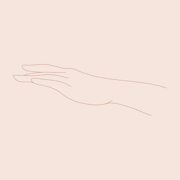 Anmutige Gesten Weiblicher Hände Vektorlinienkunst Gestaltungselement Logo Vektorgrafiken