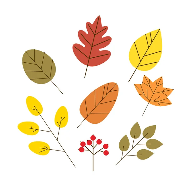 Set Autumn Leaves Lines — Vector de stock