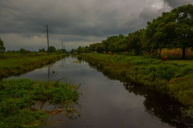 Bulutlu bir yaz gününde Nadir bulunan Ispani bataklıklarıyla ulusal rezervin yanındaki nehir. Unesco tarafından korunuyor..