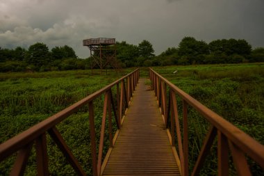 Bulutlu bir yaz gününde Kobuleti Ulusal Parkı 'ndaki Ispani bataklıkları üzerindeki gözlem güvertesi ve köprü. Unesco tarafından korunuyor..