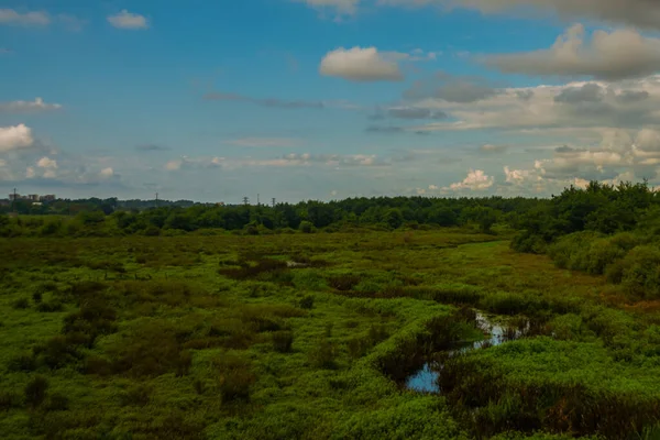 Kobuleti 在多云的夏日 伊斯帕尼沼泽 它受到Unesco的保护 — 图库照片