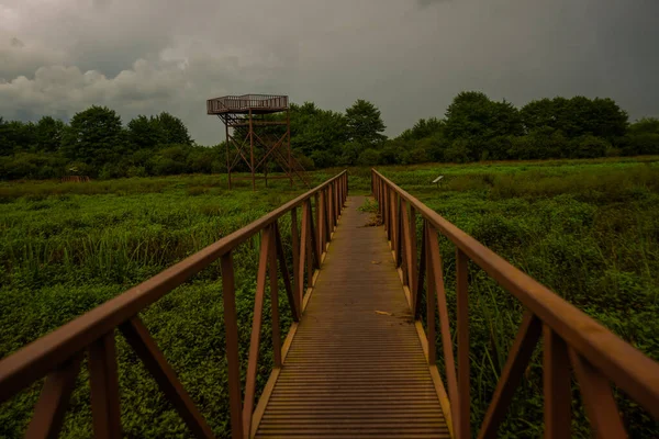 Kobuleti Georgia Convés Observação Ponte Território Parque Nacional Kobuleti Pântanos Imagens De Bancos De Imagens