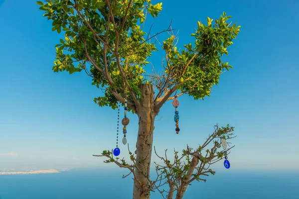 Antalya Turkey Дерево Турецкими Украшениями Верхней Части Канатной Дороги Станции — стоковое фото