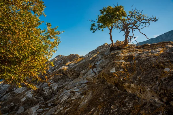 Amos Maris Mugla Turkey Zřícenina Starobylého Města Amos Poblíž Marmaris — Stock fotografie