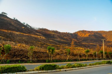 ICMELER, MARIS, MUGLA, TURKEY: 2021 yılında İzmir 'deki Mugla civarında çıkan yangının sonuçları