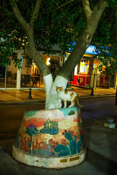 Bodrum Mugla Türkei Schöne Dekoration Baumstämmen Auf Der Promenade Bodrum — Stockfoto