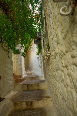 Marmaris, MUGLA, TURKEY: eski evler ile süslenmiş cadde Marmaris tarihi merkezi. Beyaz tuğlalı, yeşil bitkili ve çiçekli evlerin arasında merdivenleri olan dar sokaklar.