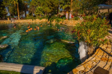 PAMUKKALE, DENIZLI, TURKEY: Cleopatra's Bath. The Antique pool view in Pamukkale. It's a popular touristic destination during a Pamukkale visit. clipart