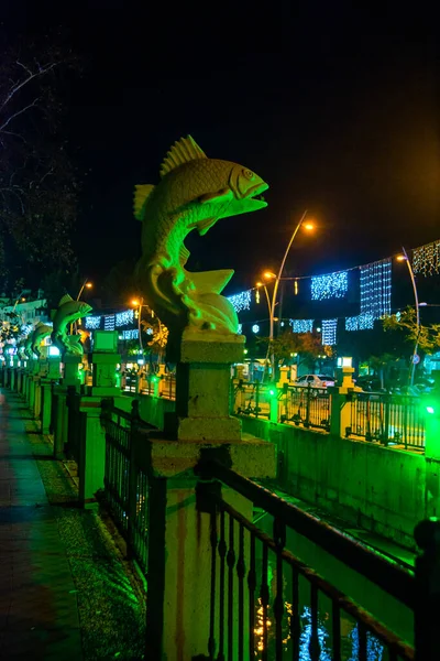 Maris Mugla Turkey 近代的な貿易センターを背景に夜の魚の彫刻で水路や噴水への街の景色 — ストック写真
