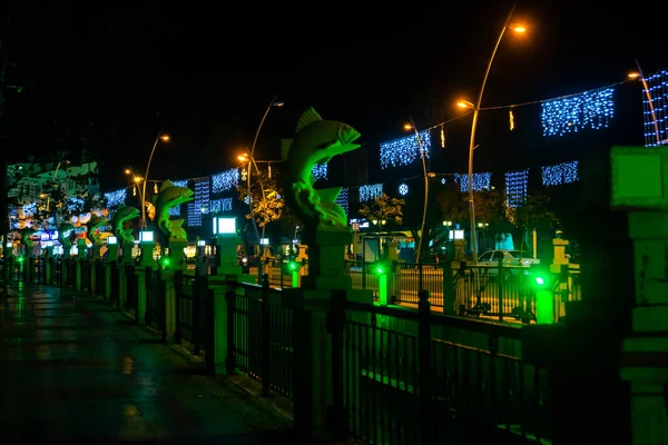 Maris Mugla Turkey 近代的な貿易センターを背景に夜の魚の彫刻で水路や噴水への街の景色 — ストック写真