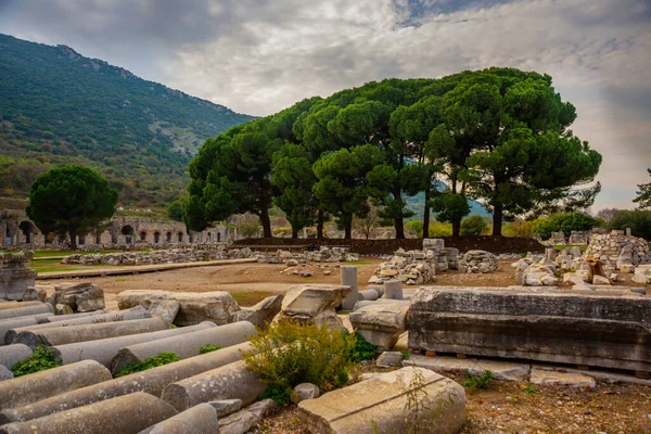 EPHESUS, SELCUK, IZMIR, TURKEY: Ticari Agora Türkiye 'nin Selcuk ilindeki antik Efes kentinin ana ticaret platformu ve kalıntıları.