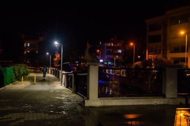 MARMARIS, MUGLA, TURKEY: Sculpture of a Fish on the street by the canal in Marmaris at night.
