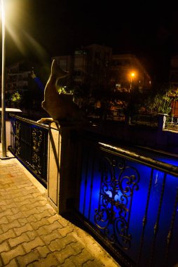 MARMARIS, MUGLA, TURKEY: Sculpture of a Fish on the street by the canal in Marmaris at night.
