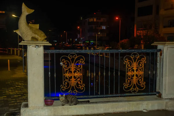Marmaris Mugla Turkey Sculpture Fish Street Canal Marmaris Night — Stock Photo, Image