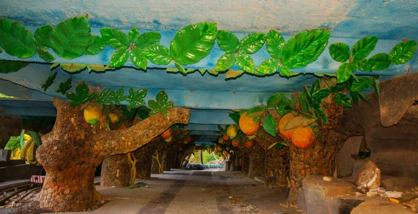Camyuva Kemer Turkey Trees Lemons Oranges Lobby Main Building Abandoned — Zdjęcie stockowe