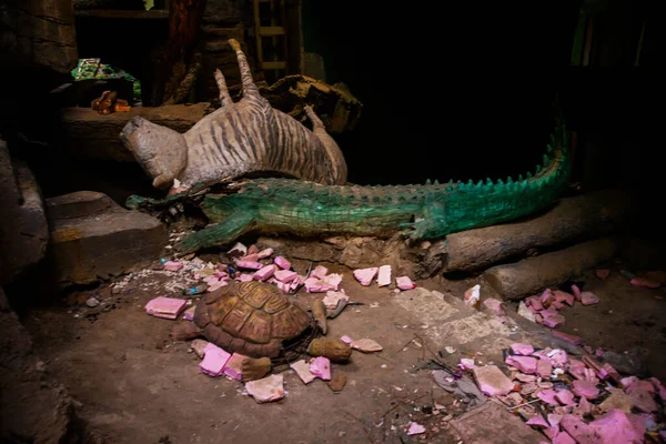 Camyuva Kemer Turkey Animal Sculptures Territory Destroyed Hotel Holiday Area — Photo
