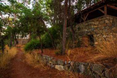 CAMYUVA, KEMER, TURKEY: The road in the forest to the destroyed hotel Holiday Area Eco Dream Club Sea Resort in the village of Camyuva.