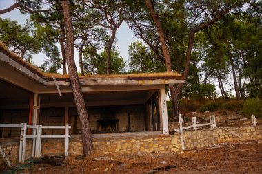 CAMYUVA, KEMER, TURKEY: The destroyed buildings of the old hotel Holiday Area Eco Dream Club Sea Resort in the forest.