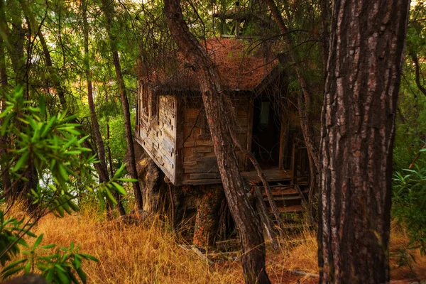 Camyuva Kemer Turkey Tree House Forest Territory Destroyed Hotel Holiday — Fotografia de Stock