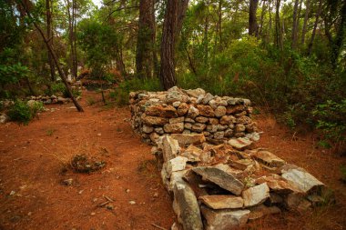 PHASELIS, TURKEY: Ruins of the Ancient city of Phaselis in the forest, village of Tekirova, Antalya province, near Kemer, Turkey.