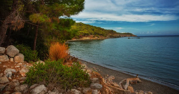 Phaselis Turkey Scenic View Beach Phaselis Ancient City Cloudy Day — Stok fotoğraf