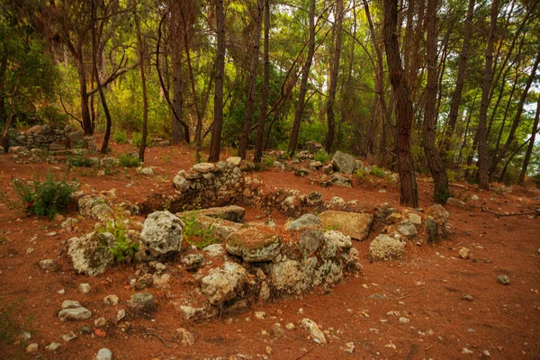 Phaselis Turkey Ruins Ancient City Phaselis Forest Village Tekirova Antalya — Stok fotoğraf