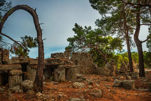 Phaselis Turkey Ruins Ancient City Phaselis Forest Tekirovan Village Antalya — Stockfoto