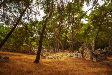 PHASELIS, TURKEY: Ruins of the Ancient city of Phaselis in the forest, village of Tekirova, Antalya province, near Kemer, Turkey.